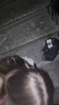 16955328768070.mp4