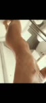 video2022-08-1809-29-05.mp4