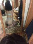 IMG20240701134403846.jpg