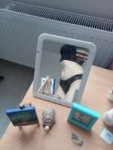 IMG20231223224608551.jpg