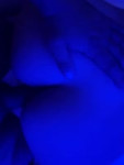 VID20250611184549476.mp4
