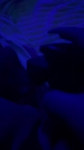 VID20250128085134784.mp4.mov