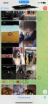 IMG6923.jpeg