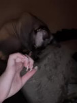 VID20250826162130444.mp4.mov