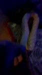 video2025-06-2218-31-54 (9).mp4