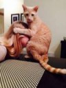 IMG3400