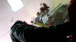 139881467627901.webm