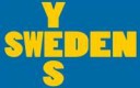 sweden yes flag