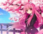 Konachan.com - 177633 animalears bunnyears cherryblossoms l[...]