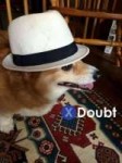 doubtful-doggo-57f57ea8b3dae.jpeg