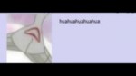 4chan.webm