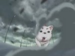 Gintama op6.webm