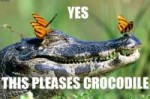 crocodile is pleased.jpg