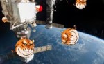 russian tigers in space.webm
