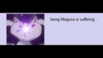 meguca.webm