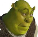 0b1b26d571acf51025dabe52d562ff8f--funny-expressions-shrek.jpg