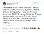 Screenshot2019-07-11 Брыков Анатолий on Twitter.png