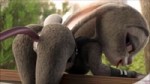 [Zootopia Porn Parody] Judy Hopps fucked by Tentacle Monste[...].mp4