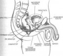 image002.jpg