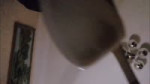 1657472662716.mp4?token=OIeh7e4Mww0fhj-MRSReIbDWvXTMklVDBFv[...].mp4