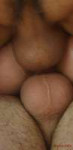 16224565120101.jpg