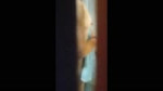 zdsgsf.mp4
