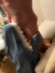 IMG6908.mov