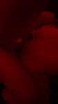 1737609722340.mp4