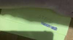 IMG1523.jpeg