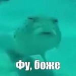 Unknown.jpeg
