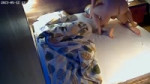 YouCut20230605000611738.mp4