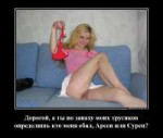 542167230.jpg