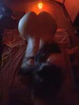 IMG20240628004104389.jpg