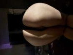 IMG5364.jpeg