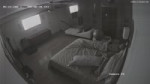 [13390503].mp4