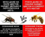 KLlQammvMRA.jpg