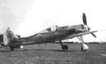 fw190d2.jpg