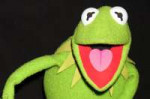 kermit-the-frog-arrives-at-the-muppets-world-premi....jpg