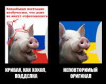 15434355550960.png
