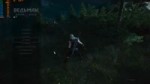 witcher3 2018 07 20 15 10 41 376.mp4