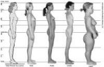 female-proportions-and-different-body-types-side-view-art-w[...].jpg