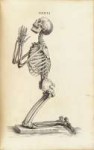 skeleton-praying.jpg