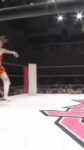 Sakura Wrestling Highlights.mp4