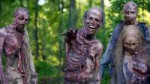 The-Walking-Dead-Zombies.jpg