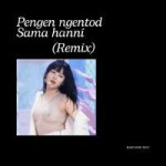 SpotifyMate.com - Pengen Ngentod Sama Hanni (Remix) - Bastard Boy.jpg