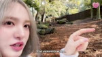 [IVE LOG] 뾱뾰기즈 따로 동물원 in Australia3 🐨.webm