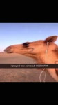 SaveClip.AppAQMJkifKGqlkDUqE3lplOOmNc2vgFSFCgjTclonpfo8jUVK0-YFbJ59ouSSPqZom8dgqfoZYaeyrUEPwuLlh3FaqgKSmWADl7WcLzZc.mp4
