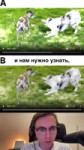dmowskii.mp4