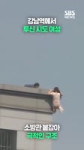 오늘 강남역 투신시도 여성다행히 소방관님이 구하셨음도대체.mp4