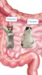 SaveClip.AppAQOjZ5lnlKJXa3ODGS9RRVXzzo54eIHYgSeg2F0VcW8sndpxKZz8IZkaD9Td54UmD1RAZ1COLJdLdFRoI-hOrL6gcePfwUXeX2m0gm4.mp4